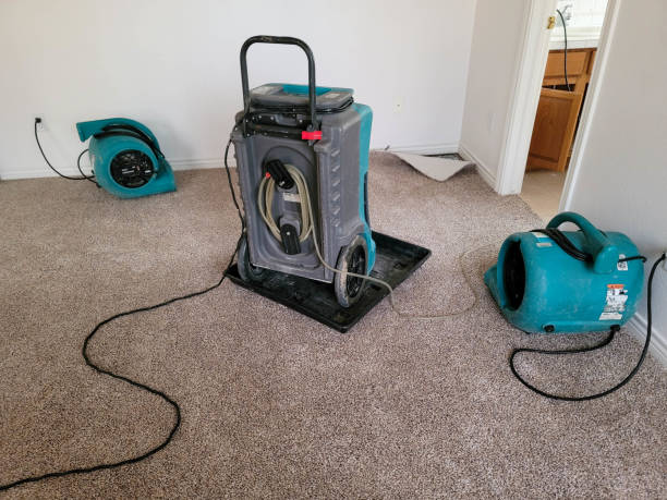Best Fire Damage Restoration  in Kenly, NC