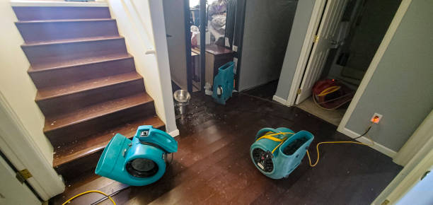 Reliable NC Water damage restoration Solutions