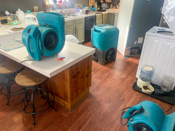 Kenly, NC Water damage restoration Pros