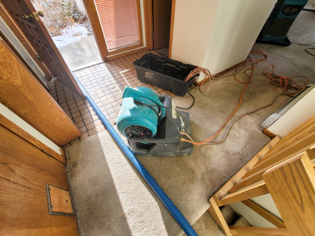 Best Local water damage restoration  in Kenly, NC
