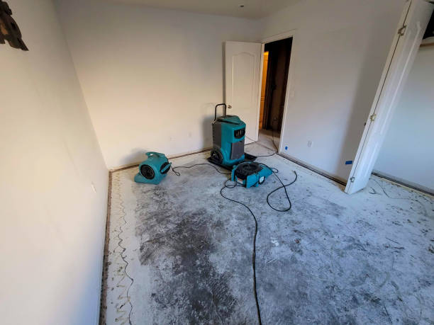 Best Basement water damage restoration  in Kenly, NC