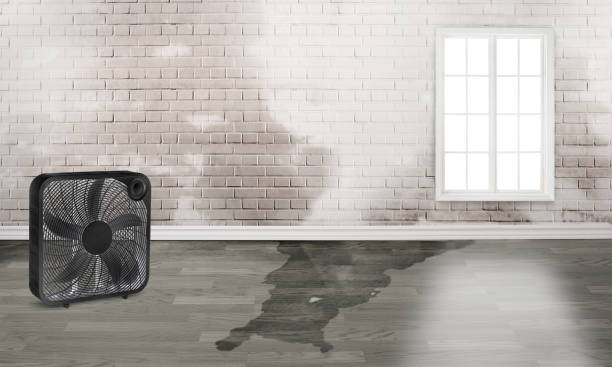 Best Residential water damage restoration  in Kenly, NC