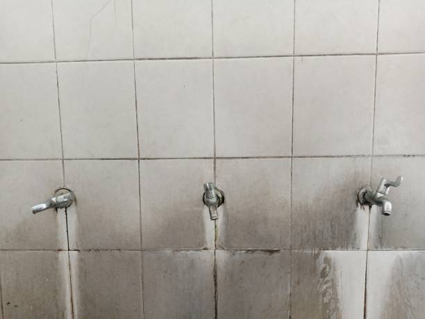Best 24/7 water damage repair  in Kenly, NC