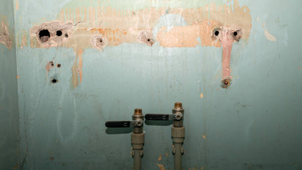 Best Emergency water damage restoration  in Kenly, NC