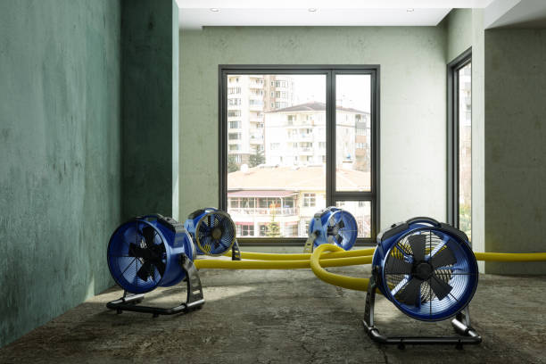 Best Carpet water damage restoration  in Kenly, NC