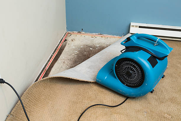 Best Sewage cleanup and water damage restoration  in Kenly, NC